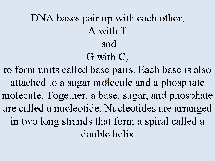 DNA bases pair up with each other, A with T and G with C,