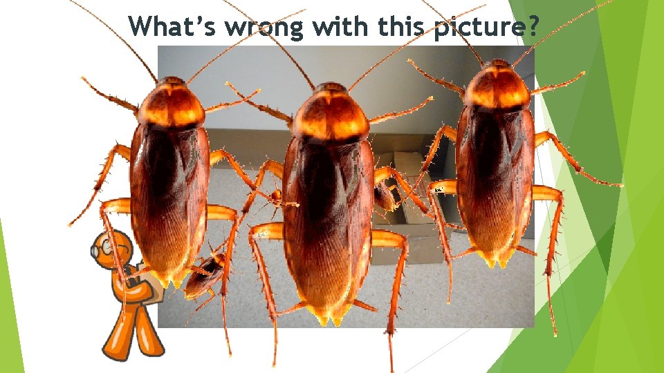 What’s wrong with this picture? 