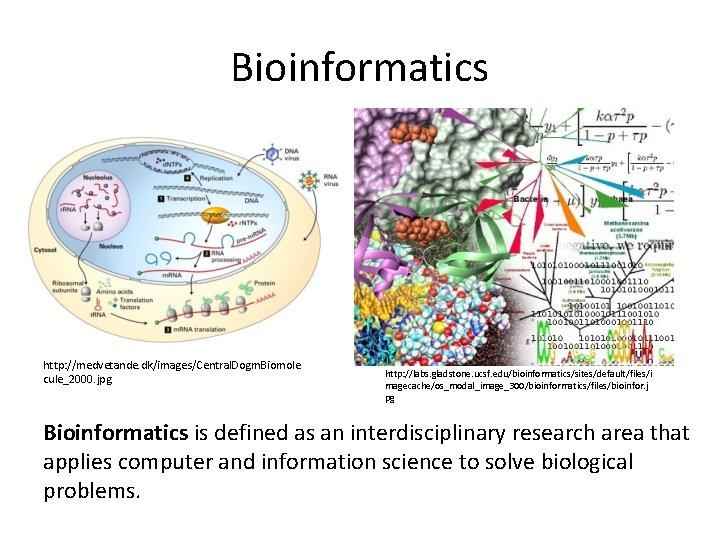 Bioinformatics http: //medvetande. dk/images/Central. Dogm. Biomole cule_2000. jpg http: //labs. gladstone. ucsf. edu/bioinformatics/sites/default/files/i magecache/os_modal_image_300/bioinformatics/files/bioinfor. Bioinformatics http: //medvetande. dk/images/Central. Dogm. Biomole cule_2000. jpg http: //labs. gladstone. ucsf. edu/bioinformatics/sites/default/files/i magecache/os_modal_image_300/bioinformatics/files/bioinfor.