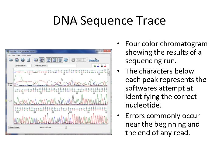 DNA Sequence Trace • Four color chromatogram showing the results of a sequencing run. DNA Sequence Trace • Four color chromatogram showing the results of a sequencing run.