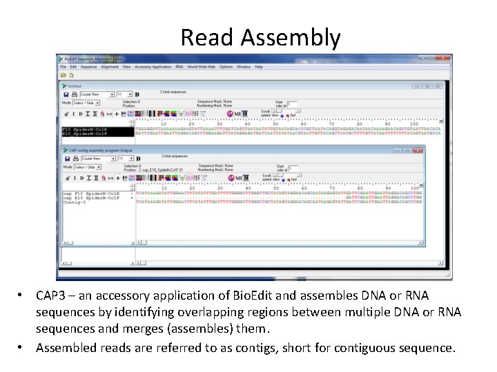 Read Assembly • CAP 3 – an accessory application of Bio. Edit and assembles Read Assembly • CAP 3 – an accessory application of Bio. Edit and assembles