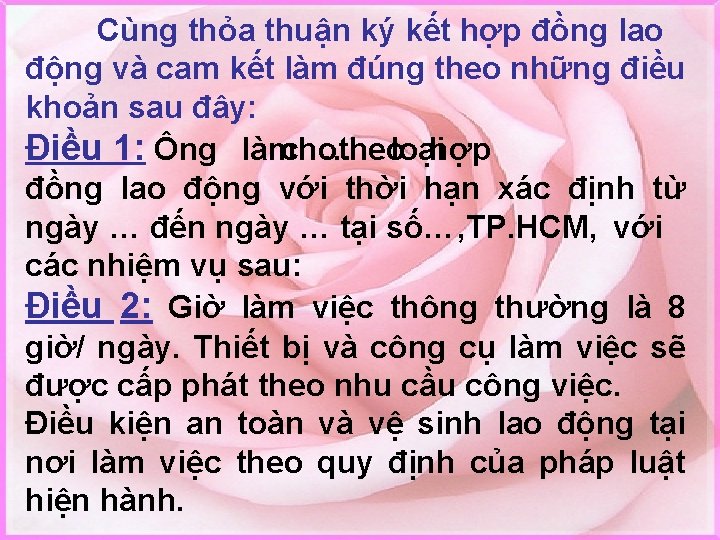 Cùng thỏa thuận ký kết hợp đồng lao động và cam kết làm đúng