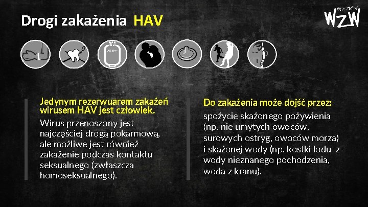 Drogi zakażenia HAV Jedynym rezerwuarem zakażeń wirusem HAV jest człowiek. Wirus przenoszony jest najczęściej