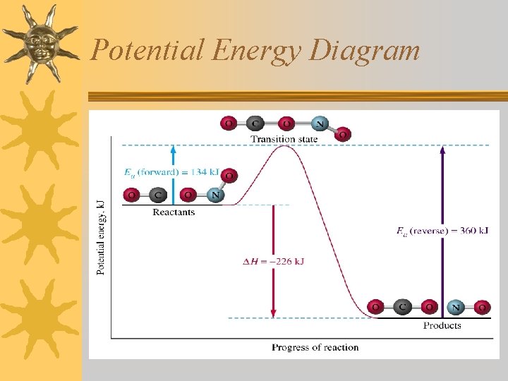 Potential Energy Diagram 