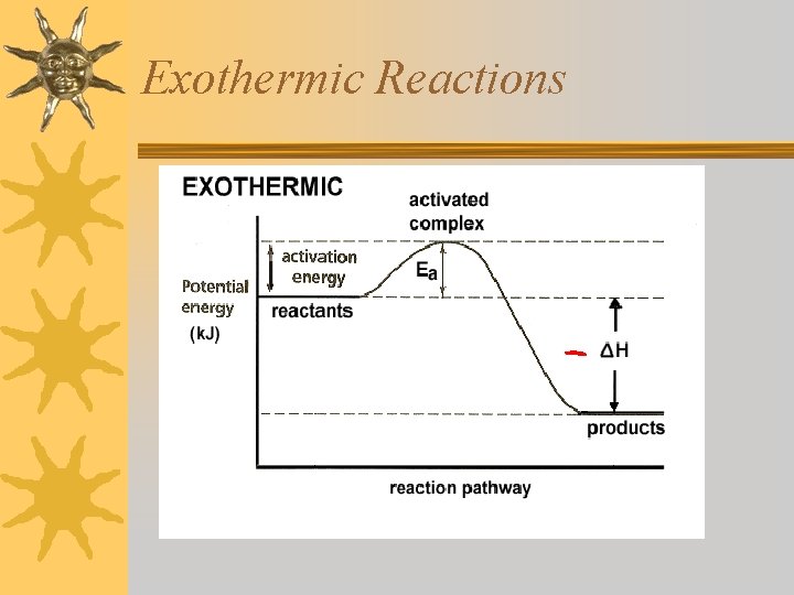 Exothermic Reactions 