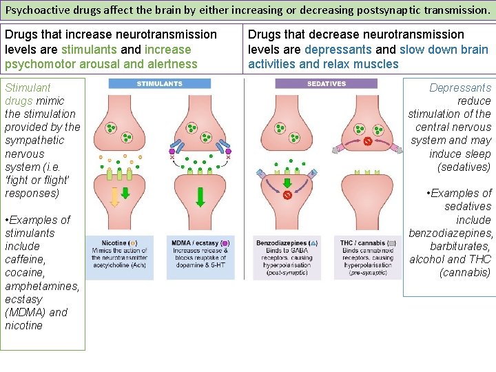 Psychoactive drugs affect the brain by either increasing or decreasing postsynaptic transmission. Drugs that