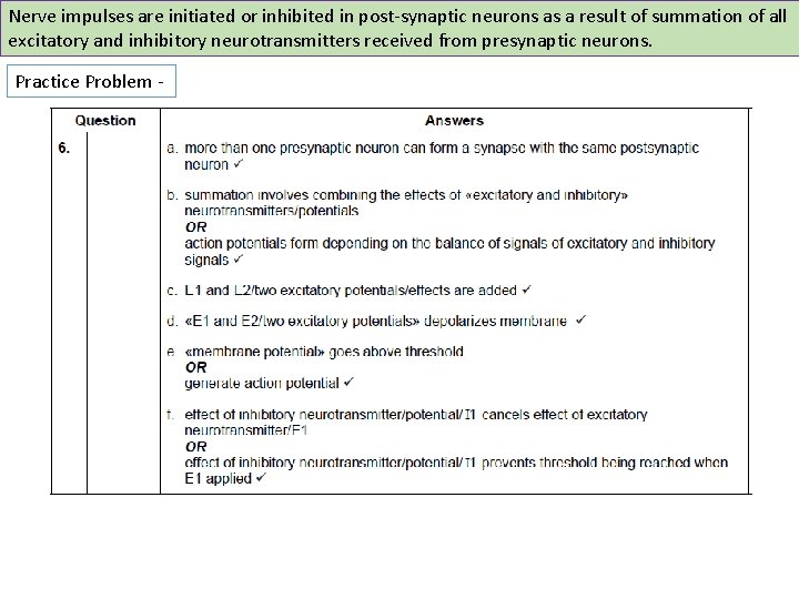 Nerve impulses are initiated or inhibited in post-synaptic neurons as a result of summation