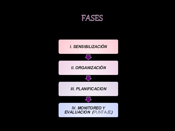 FASES I. SENSIBILIZACIÓN II. ORGANIZACIÓN III. PLANIFICACION IV. MONITOREO Y EVALUACION (PUNTAJE) 