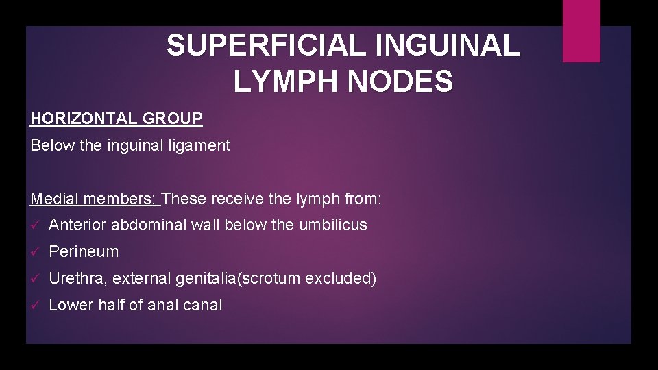 SUPERFICIAL INGUINAL LYMPH NODES HORIZONTAL GROUP Below the inguinal ligament Medial members: These receive