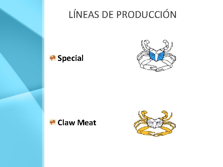 LÍNEAS DE PRODUCCIÓN Special Claw Meat 