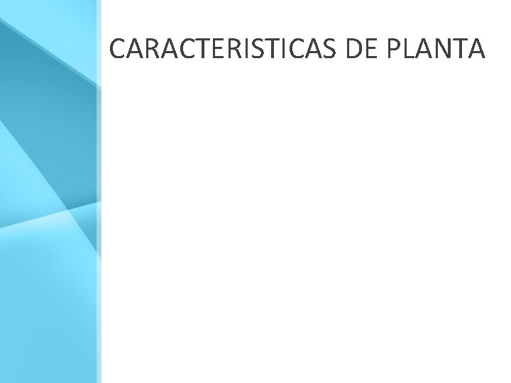 CARACTERISTICAS DE PLANTA 