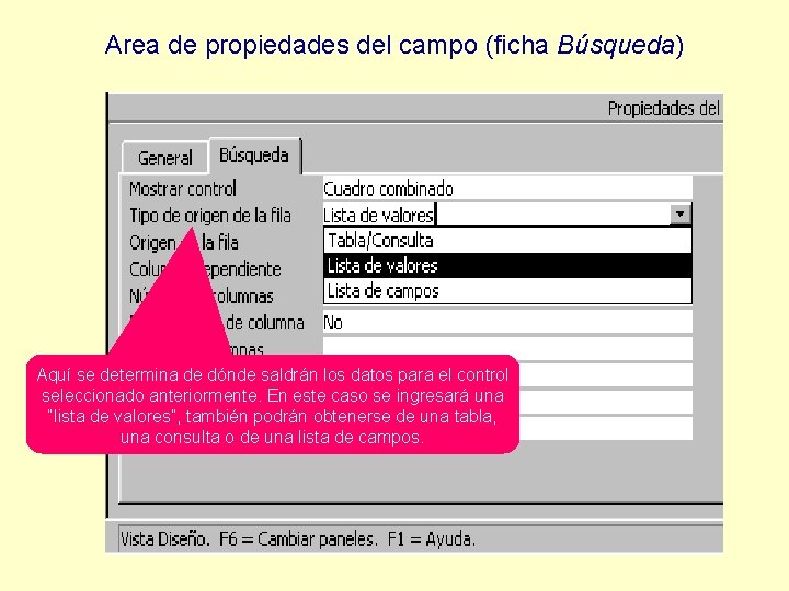 Area de propiedades del campo (ficha Búsqueda) Aquí se determina de dónde saldrán los