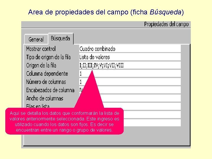 Area de propiedades del campo (ficha Búsqueda) Aquí se detalla los datos que conformarán