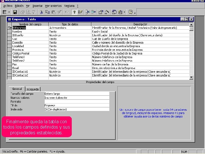 Finalmente queda la tabla con todos los campos definidos y sus propiedades establecidas. 