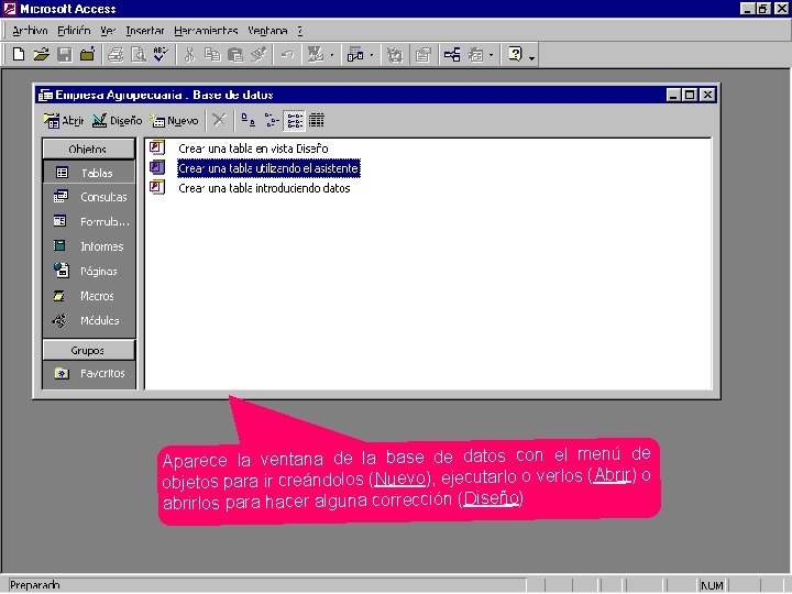 Aparece la ventana de la base de datos con el menú de objetos para
