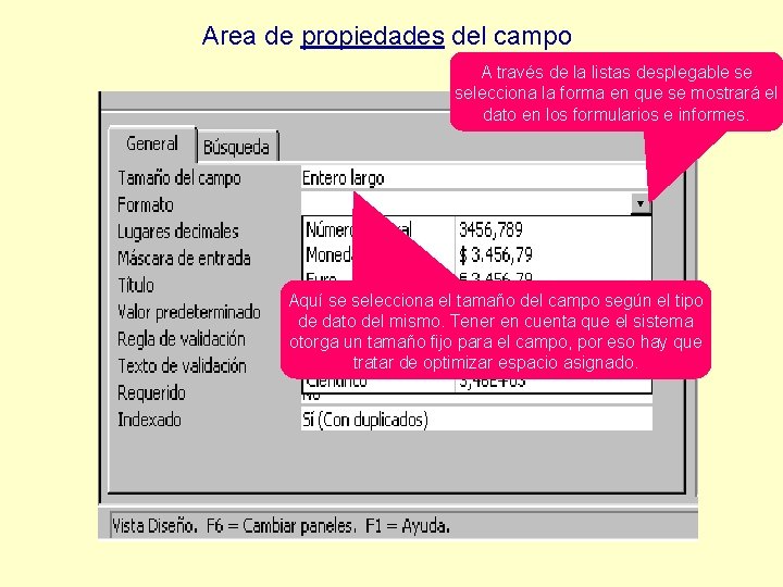 Area de propiedades del campo A través de la listas desplegable se selecciona la