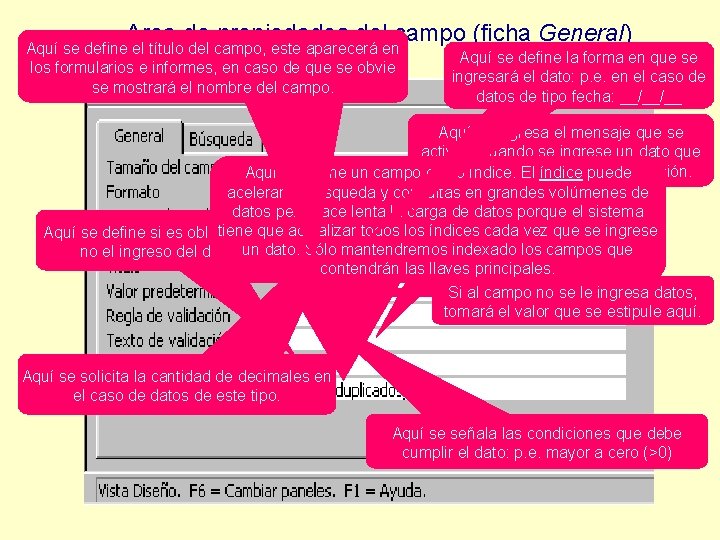 Area de propiedades del campo (ficha General) Aquí se define el título del campo,