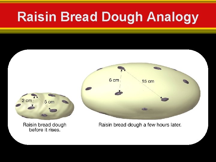Raisin Bread Dough Analogy 