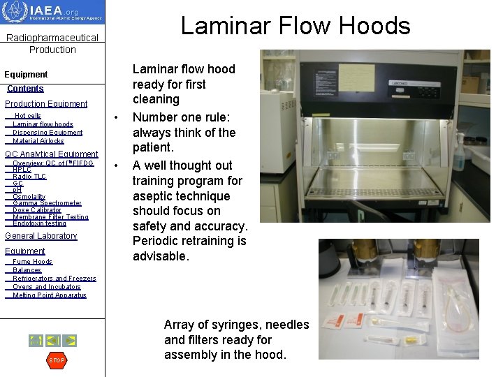 Laminar Flow Hoods Radiopharmaceutical Production Equipment Contents Production Equipment Hot cells Laminar flow hoods