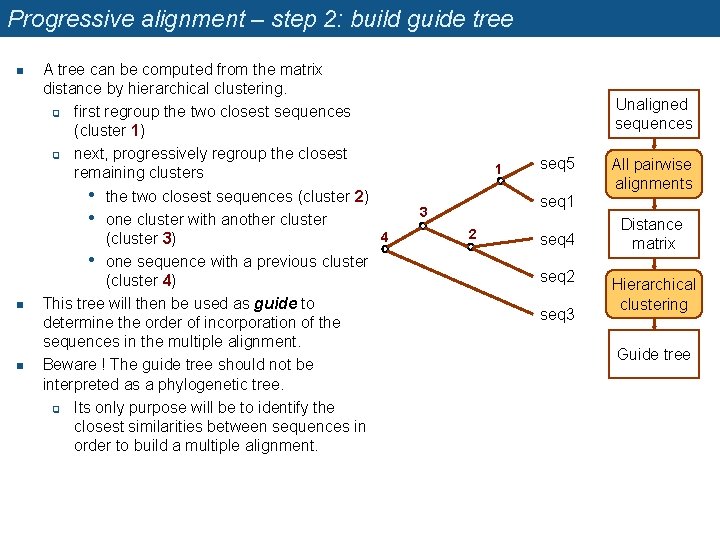 Progressive alignment – step 2: build guide tree n n n A tree can
