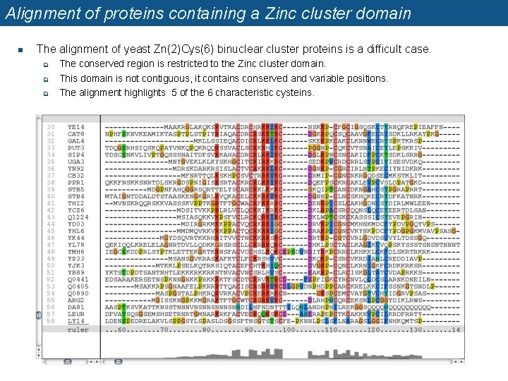 Alignment of proteins containing a Zinc cluster domain n The alignment of yeast Zn(2)Cys(6)