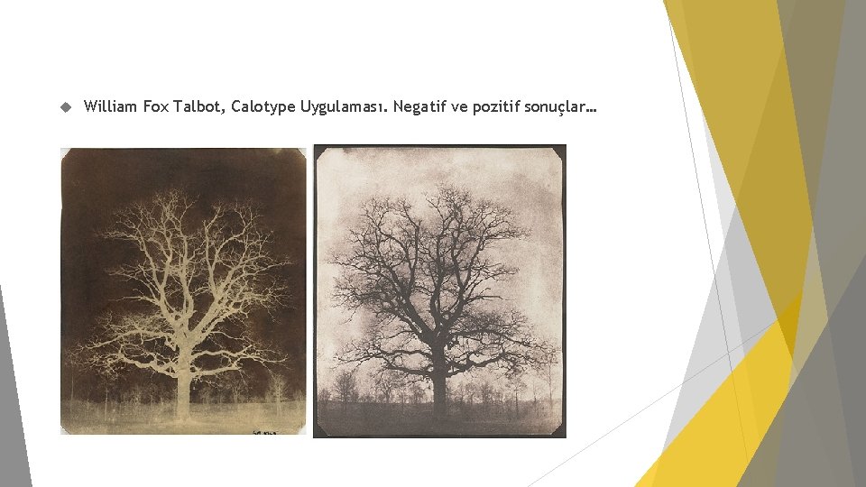  William Fox Talbot, Calotype Uygulaması. Negatif ve pozitif sonuçlar… 