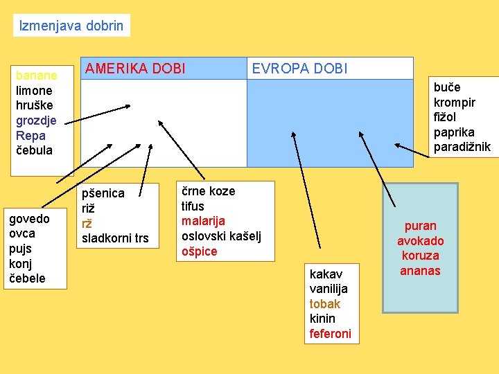 Izmenjava dobrin banane limone hruške grozdje Repa čebula govedo ovca pujs konj čebele AMERIKA