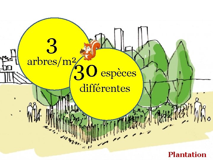 3 arbres/m² 30 espèces différentes Plantation 