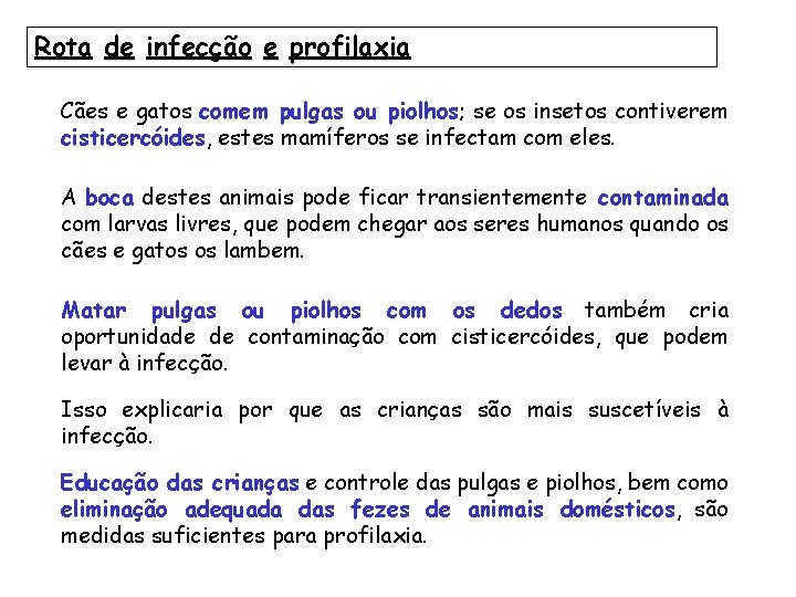 Rota de infecção e profilaxia Cães e gatos comem pulgas ou piolhos; se os