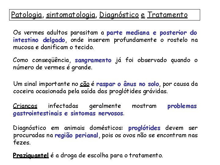 Patologia, sintomatologia, Diagnóstico e Tratamento Os vermes adultos parasitam a parte mediana e posterior