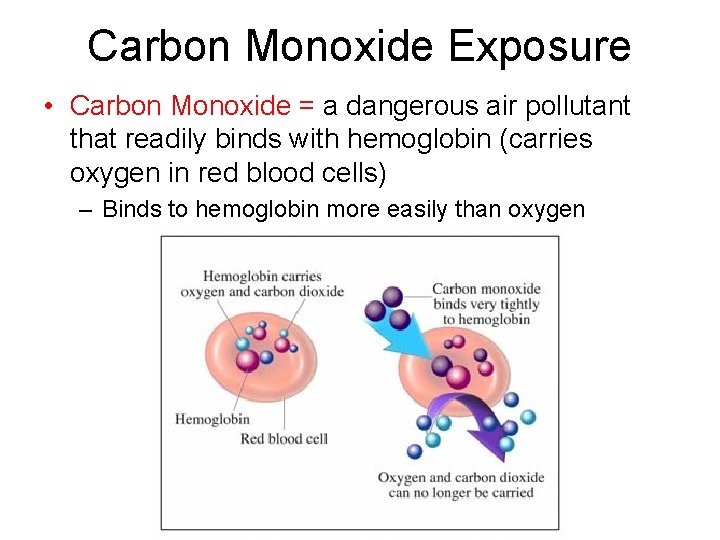Carbon Monoxide Exposure • Carbon Monoxide = a dangerous air pollutant that readily binds