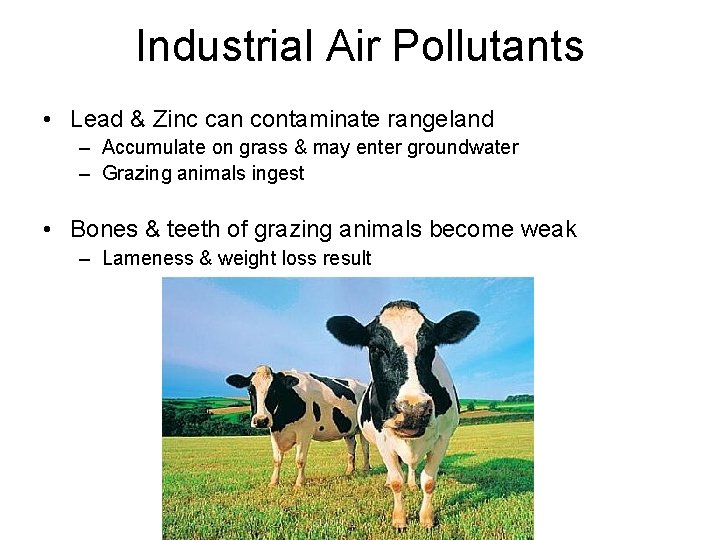 Industrial Air Pollutants • Lead & Zinc can contaminate rangeland – Accumulate on grass