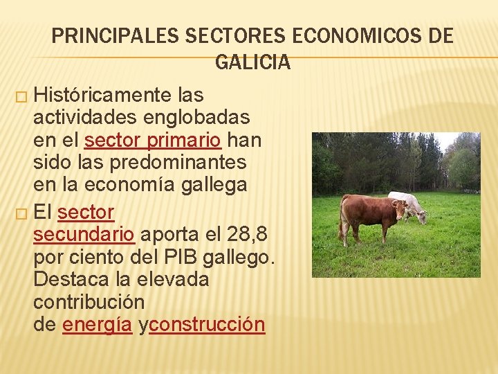 PRINCIPALES SECTORES ECONOMICOS DE GALICIA � Históricamente las actividades englobadas en el sector primario