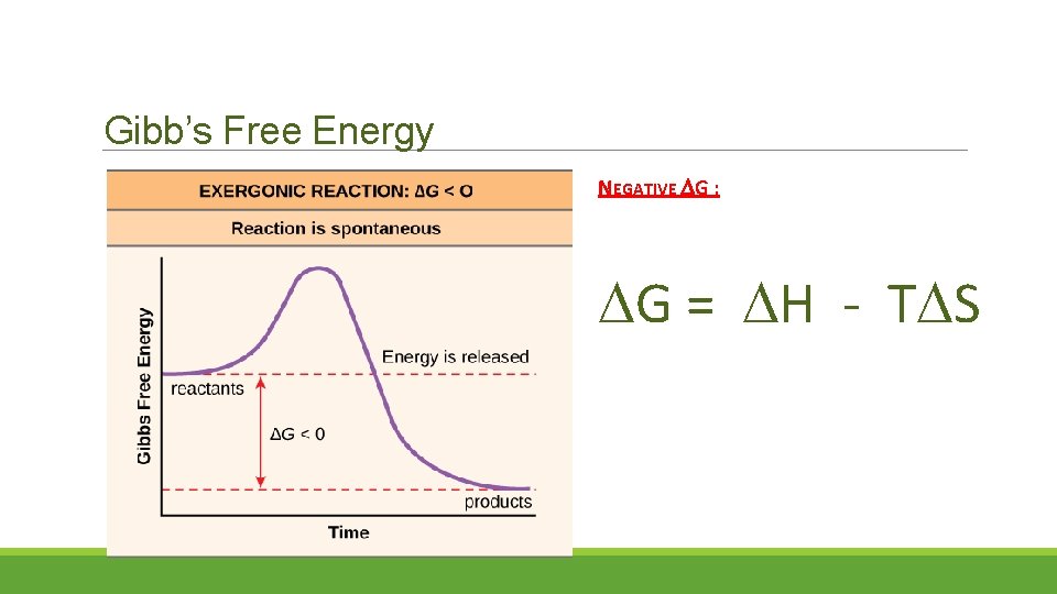 Gibb’s Free Energy NEGATIVE G : G = H - T S 