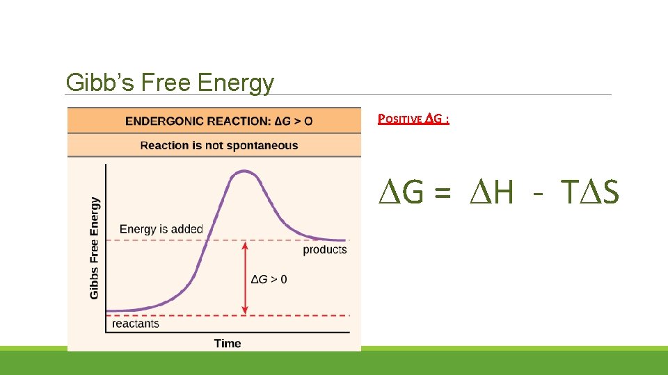 Gibb’s Free Energy POSITIVE G : G = H - T S 