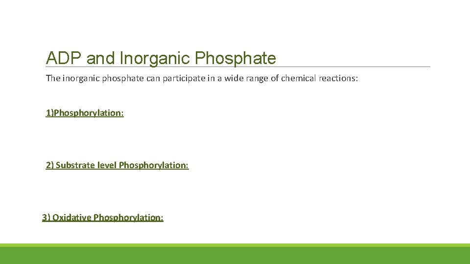 ADP and Inorganic Phosphate The inorganic phosphate can participate in a wide range of