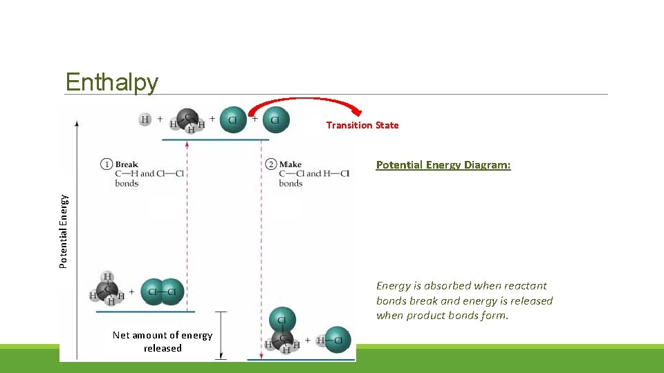 Enthalpy Transition State Potential Energy Diagram: Energy is absorbed when reactant bonds break and