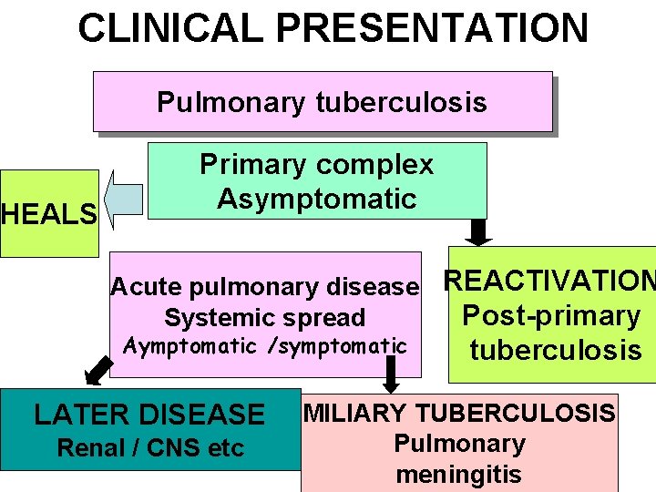 CLINICAL PRESENTATION Pulmonary tuberculosis HEALS Primary complex Asymptomatic Acute pulmonary disease REACTIVATION Post-primary Systemic