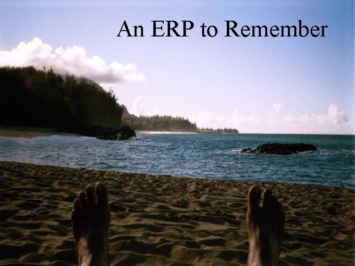 An ERP to Remember 