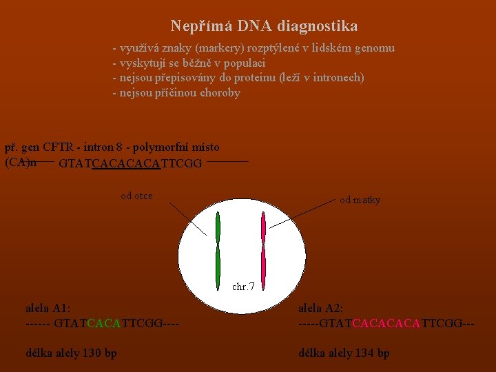 Nepřímá DNA diagnostika - využívá znaky (markery) rozptýlené v lidském genomu - vyskytují se