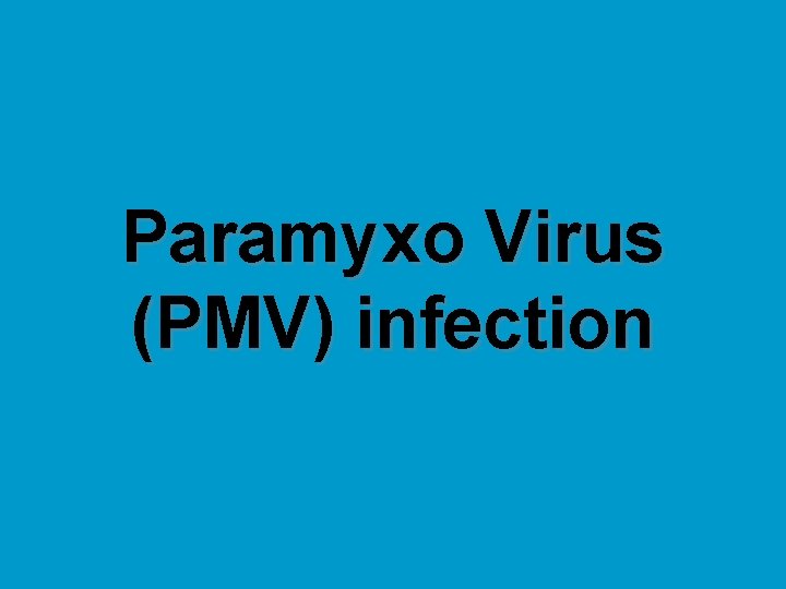 Paramyxo Virus (PMV) infection 