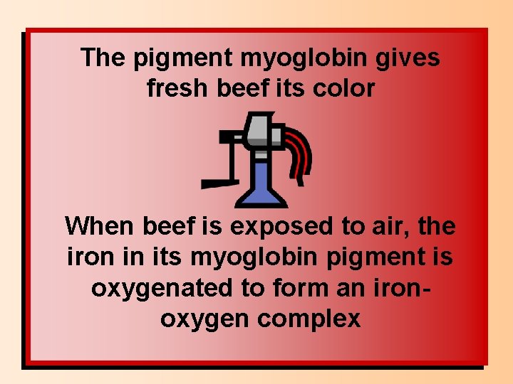 The pigment myoglobin gives fresh beef its color When beef is exposed to air,