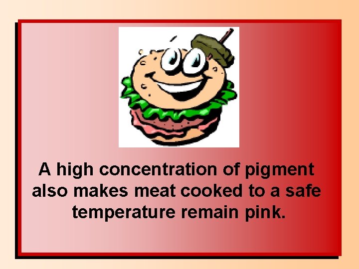 A high concentration of pigment also makes meat cooked to a safe temperature remain