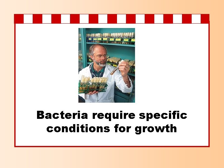 Bacteria require specific conditions for growth 