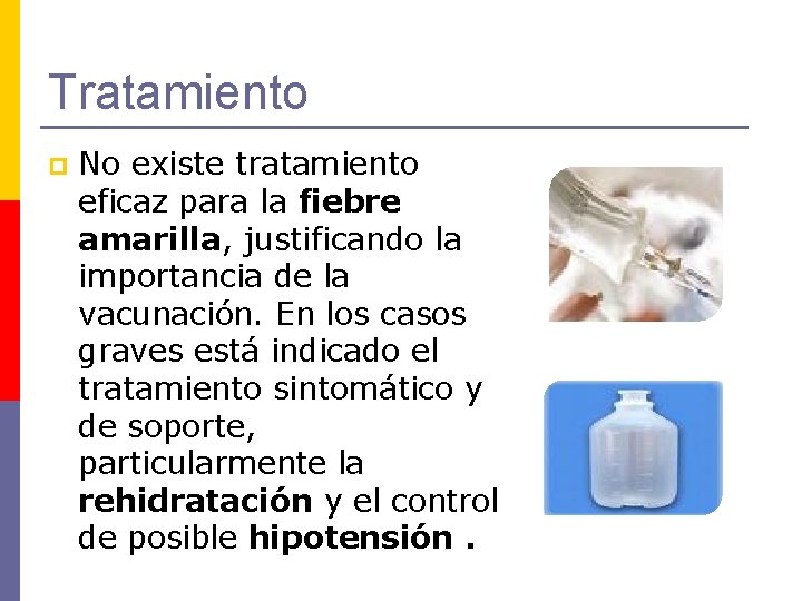 Tratamiento p No existe tratamiento eficaz para la fiebre amarilla, justificando la importancia de