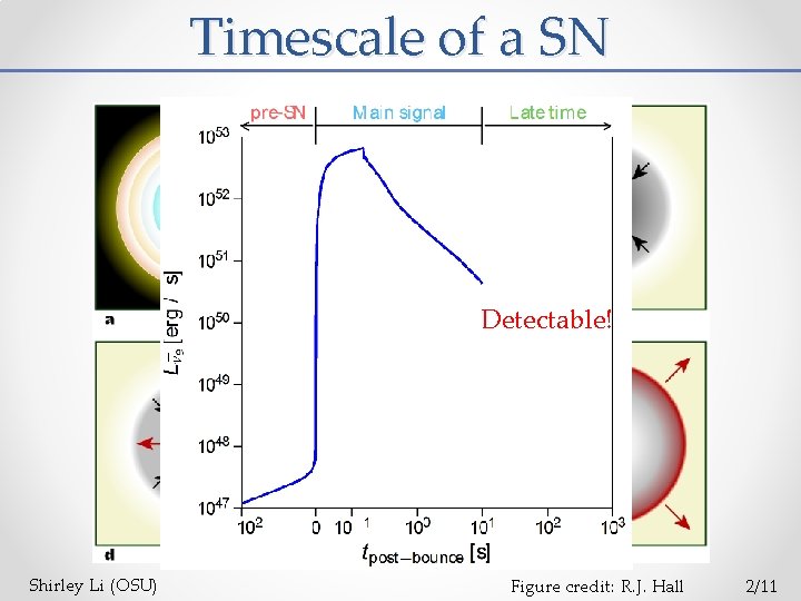 Timescale of a SN ? Detectable! Shirley Li (OSU) Figure credit: R. J. Hall