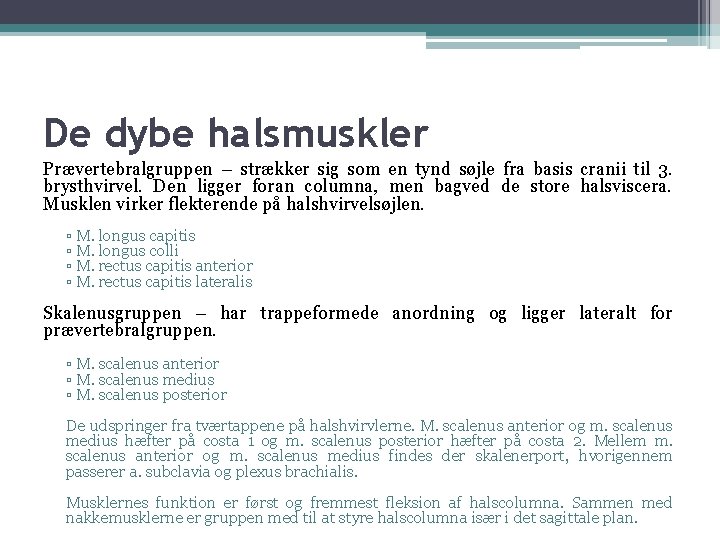 De dybe halsmuskler Prævertebralgruppen – strækker sig som en tynd søjle fra basis cranii