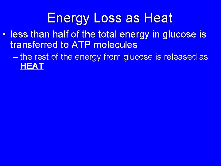 Energy Loss as Heat • less than half of the total energy in glucose