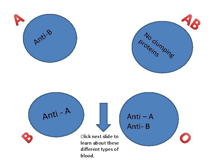 A B ti- No pr clu ot m ein pi s ng An Anti