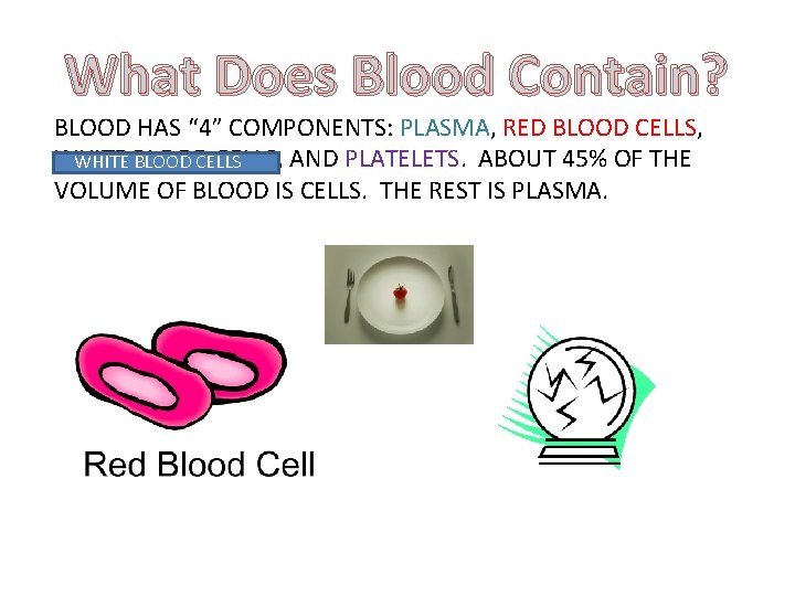 What Does Blood Contain? BLOOD HAS “ 4” COMPONENTS: PLASMA, RED BLOOD CELLS, WHITE